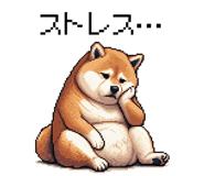 889751503