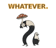 889761326