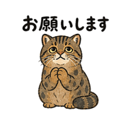 889770217