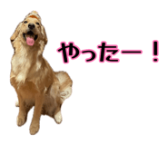 889772913