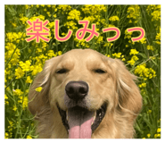 889772915