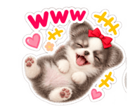 889773047