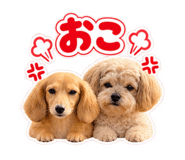 889794484