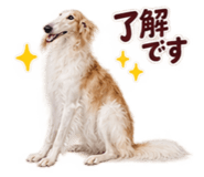889794749