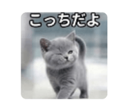 889808145