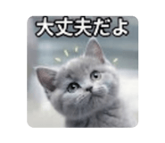 889808150