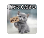 889808155