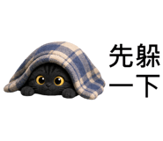 889817008