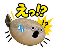 889819869