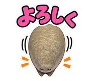 889819872