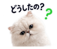 889820315