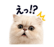 889820316