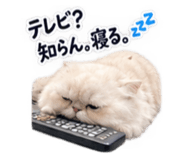 889820338