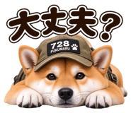889821955