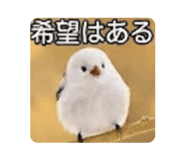 889822089
