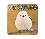 889822090