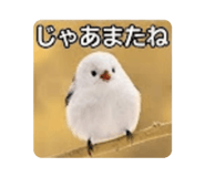 889822666
