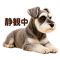 889823758