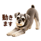889823767