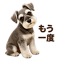 889823771