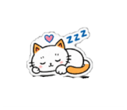 889824382