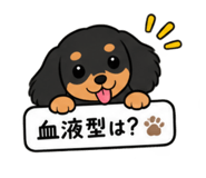 889824441