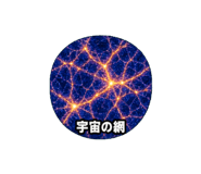 889825037