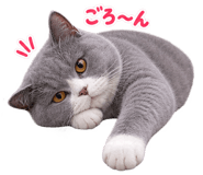 889825967