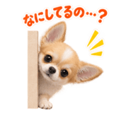 889826001