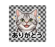 889826361