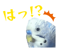889828932