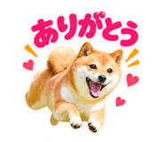 889829041