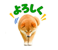 889829048