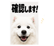 889829909