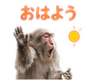 889832080