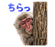 889832088
