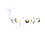 889832167