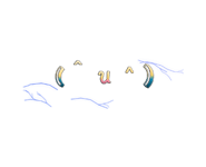 889832173