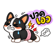 889952326