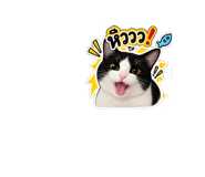 889955720