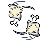 890018323
