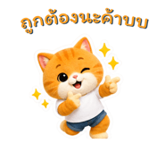 890048080