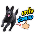 890048232