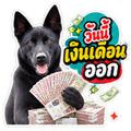 890048349