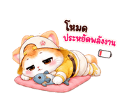 890063810