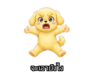 890065237