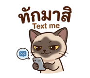 890067597