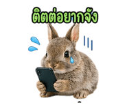 890317684