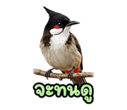 890326711