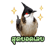 890326714